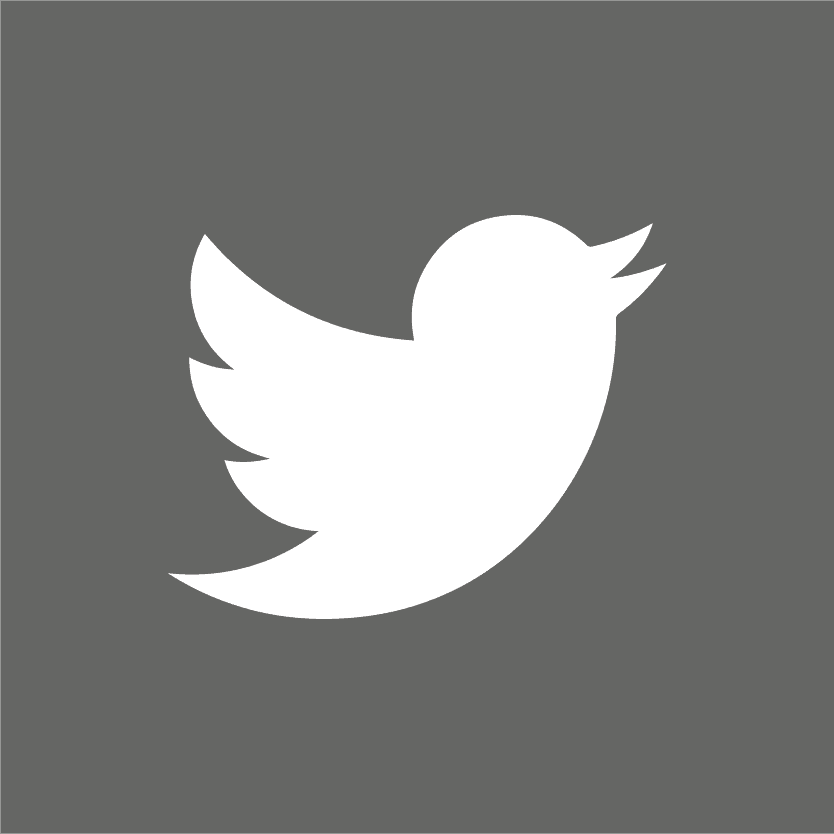 Twitter Logo auf grauem Hintergrund